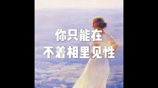 201510 你只能在不着相里见性21159