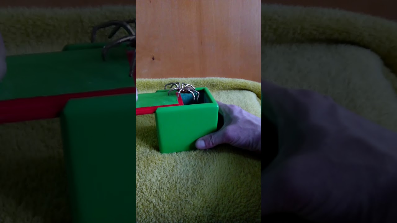 Spider box