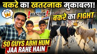 Mumbra MM Valley Mein Khatarnak Bakre Ki Fight! 😱 | Heavy Bakra Mukabla 2026 🔥