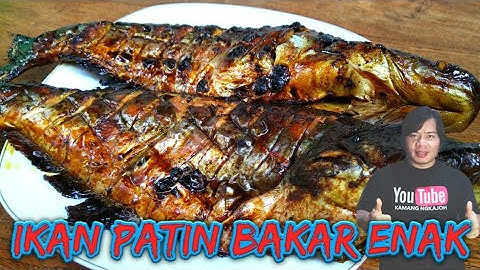 RESEP IKAN PATIN BAKAR KECAP‼️cara masak ikan patin paling enak😀
