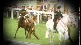 #DubaiRacing- Mill Reef | (1968 - 1986) | ู
ูู ุฑูู