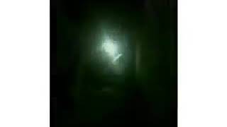 Musically Cays.aurelia Vs Mffashar