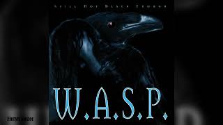 W.A.S.P. - Still not black enough