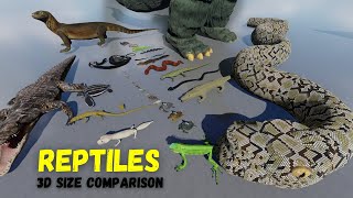 Reptiles Size Comparison 3D Animation: From Tiny Geckos to Giant Crocodiles