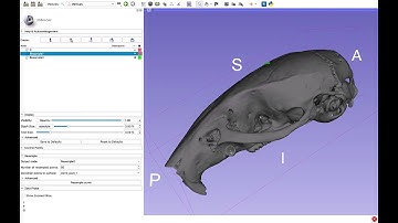 Generating semi-landmarks with curves function in 3D Slicer
