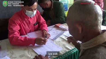 Implementasi Core Values ASN BerAKHLAK di Dinas Pertanian dan Pangan