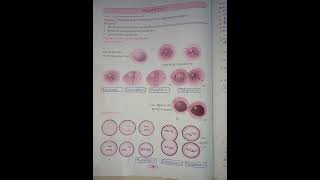 10Th Science Practical Notebook