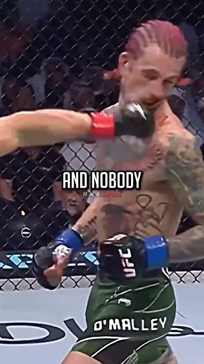 UFC Fighter vs Bruce Lee