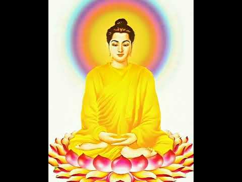 Video lòng từ bi của chư phật - youtube