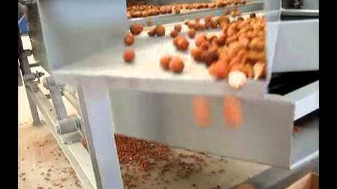 Nut Cracker and almond sheller from amy 0086 15838059105