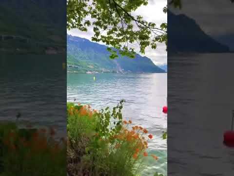 مقطع قران قصير تلاوة خاشعة الشيخ عبدالله الموسى