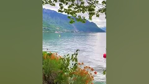 مقطع قران قصير تلاوة خاشعة الشيخ عبدالله الموسى