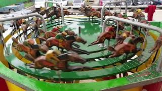 PICAS DE CABALLOS - Tradición Puertorriqueña screenshot 2