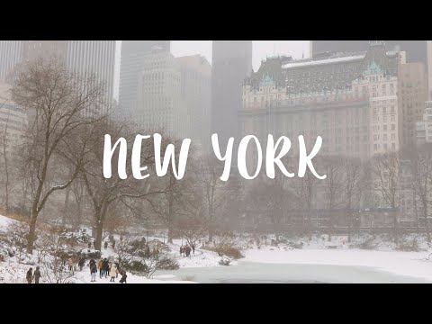 Living in New York VLOG / Snow Storm in NY, Snowy Central Park, Korean Town, What I Eat, Kitten