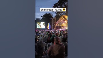 Fiersa Besari Celengan Rindu Konser #fiersabesari #celenganrindu #shortvideo