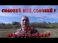 Соловей мой соловей!!! или Все о пробках!!!!