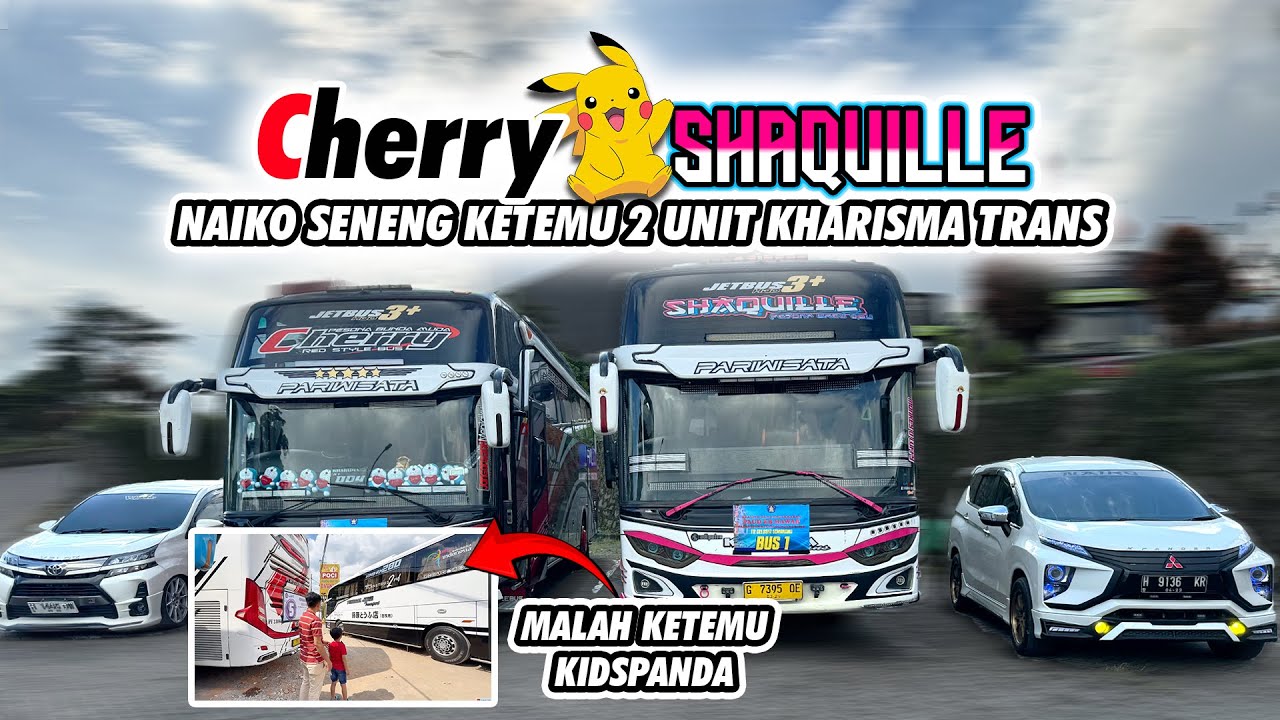 REVIEW SHAQUILLE EHH NAIKO KETEMU KIDSPANDA & MOONEYES JUGA 😍