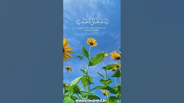 سورة إبراهيم، من الآية 40، القارئ محمد صديق المنشاوي