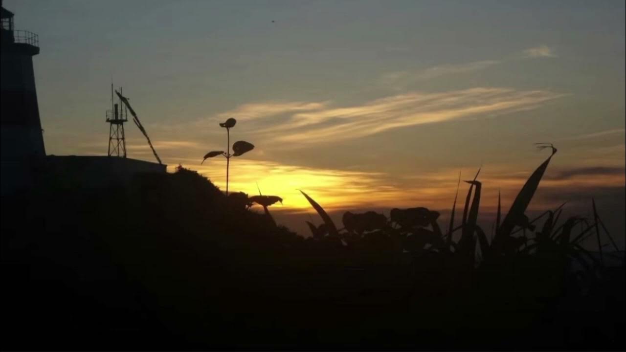 「別離の黄昏」研ナオコ／ギター*じいじさん♩by yoki YouTube