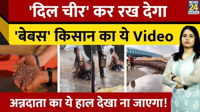 Maharashtra:"बारिश में भीगते नहीं, बिखरते हैं किसान के सपने" किसान होना  आसान नहीं...video रुला देगी।
