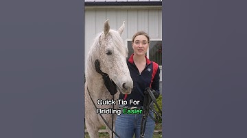 How To Bridle A Horse