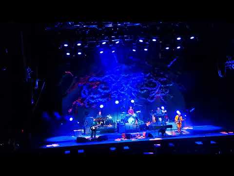 Crowded House - Message To My Girl | 2025-11-26 - MyState Bank Arena, Hobart, Tasmania