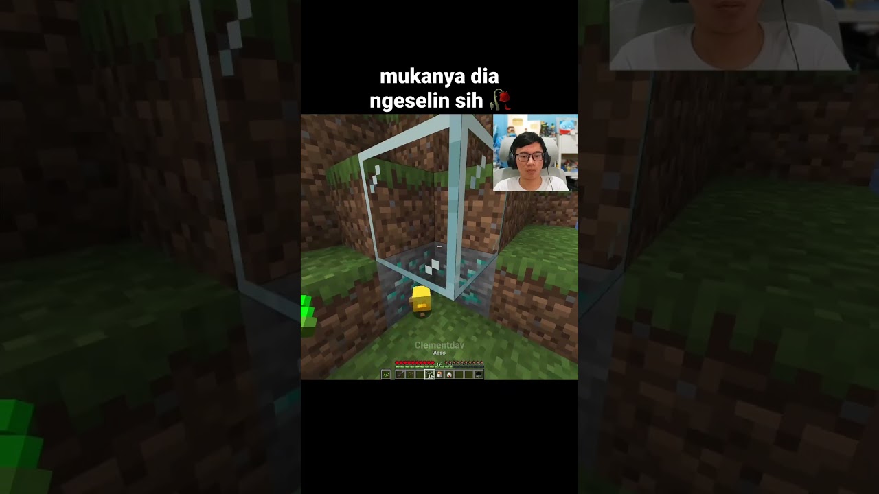 Momen Bayi Ayam Minecraft