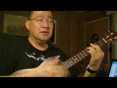 Bueno Chen "Tin Man" ukulele baritone, America