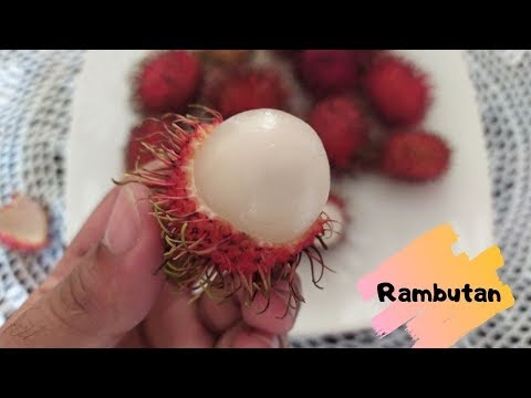 Vídeo: Como Se Come Rambutan