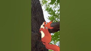 Squirrels race up the tree!!!
