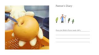 Celebrity Meokgol Pear Juice 100% BY Farm Art Holic(en) Wealth