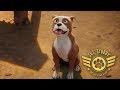 Kijken Sgt. Stubby: An American Hero (2018) (België Versie) Film Downloaden Gratis
