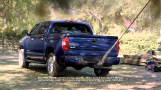Daytona Toyota Tundra Tree House
