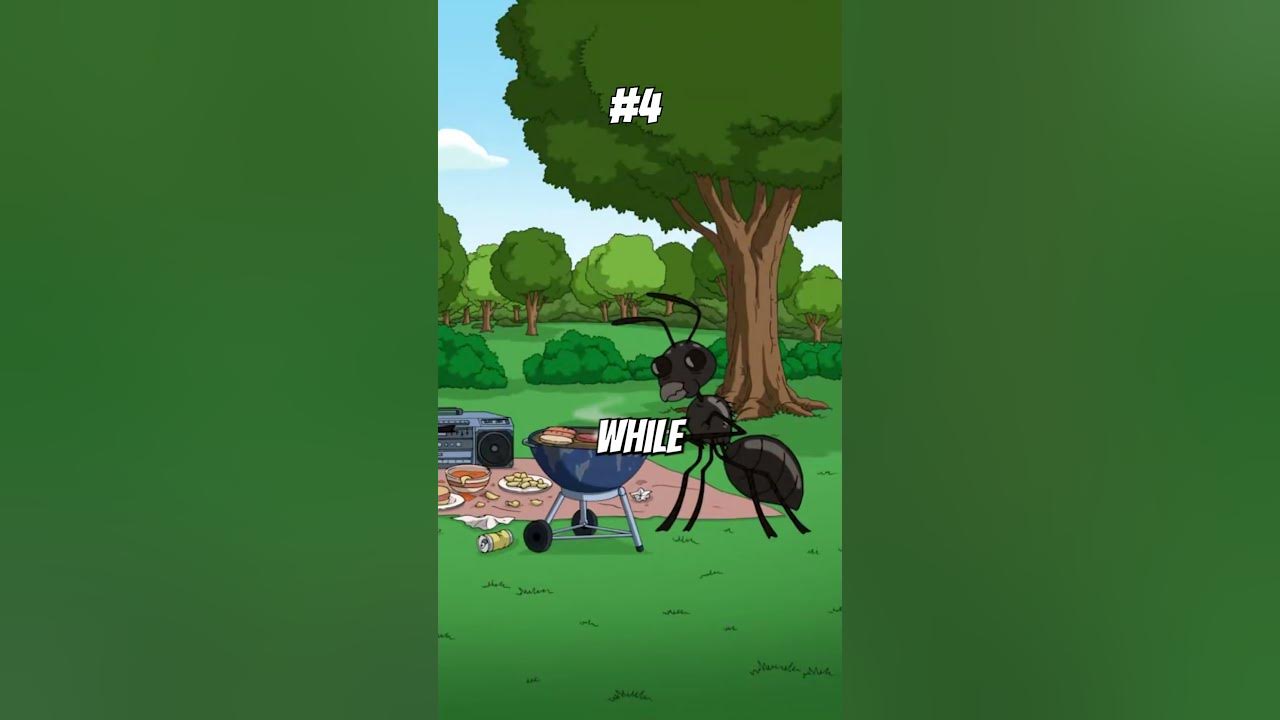 the-5-funniest-insect-moments-in-family-guy-youtube