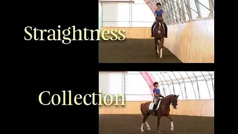 #25: Collection  40 Fundamentals of English Riding