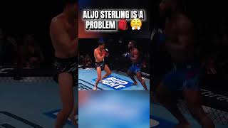 Aljamain Sterling vs Brian Ortega Highlights 🤯 (He’s BACK Saturday!)
