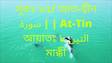 সূরাঃ ৯৫ আত ত্বীন  At Tin  سورة التين আয়াতঃ ৮ মাক্কী  100 Times