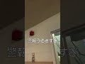 まじめに訓練しろや#vlog #アメリカ #留学 #shorts #高校留学