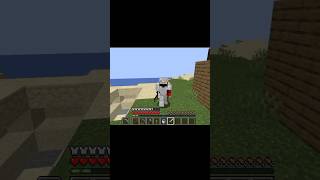 My survival world in Minecraft Java #minecraft#shorts