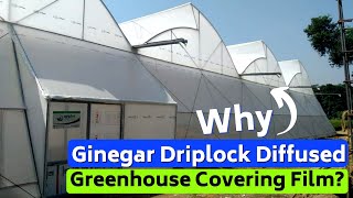 Why use this green house covering film