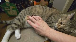 The Power Stack IS BACK!!!