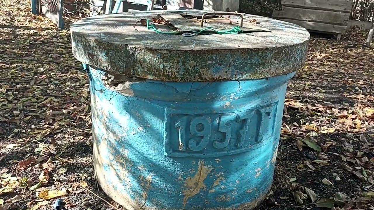 Как мы собирали грецкие орехи