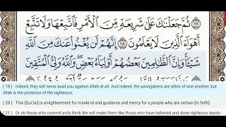 45 - Surah Al Jathiyah - Muhammad Jibril  - Quran Recitation, Arabic Text, English Translation