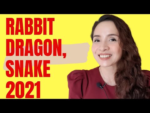 Video: Fra Dragon To Rabbit And How I Coped - Matador Network