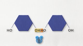 Dehydration synthesis and hydrolysis