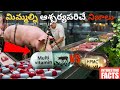 100 Interesting Facts In Telugu | Facts Forever Facts In Telugu Episode 4 | Telugu Facts Interesting