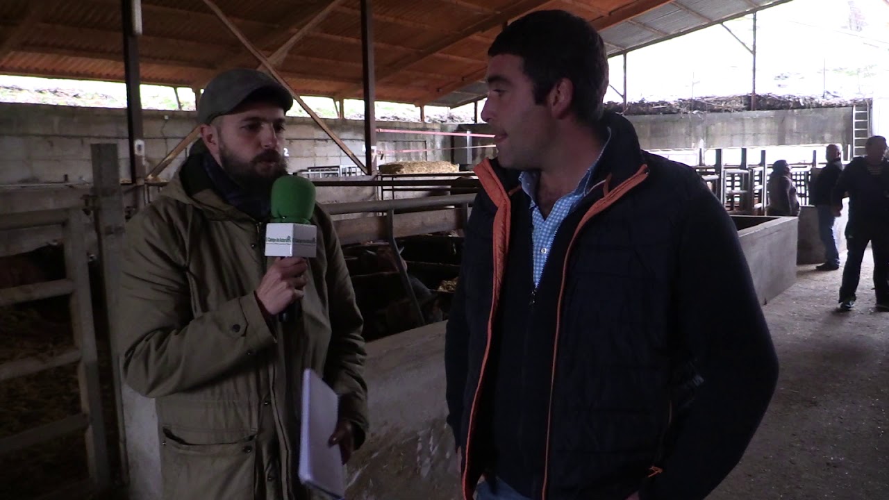 Entrevista a David Martínez / El Campo de Asturias