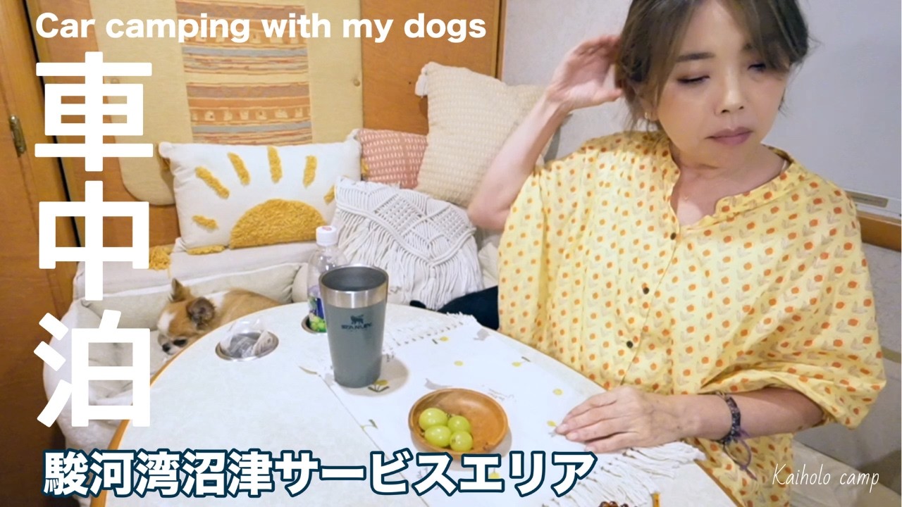 【50代女子⁉︎ソロ車中泊】海の見えるサービスエリアで車中泊｜Solo car camping with my dogs. Vlog［72］