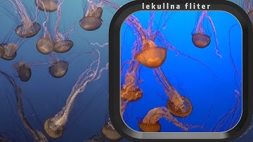 GoPro Dive Filter for GoPro Hero 8 9 10