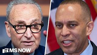 How do Dems move forward after Platner? 'They have learned a lesson': Dilanian